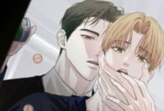 Liên kết Brotherly Bond Chồng 1 VietSub, mối tình mới bắt đầu