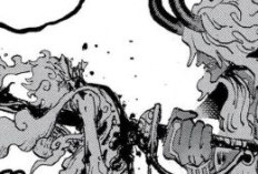 Cách đọc Manga One Piece Chương 1189 Tiếng Việt, Luffy sẽ bị chấn thương nghiêm trọng